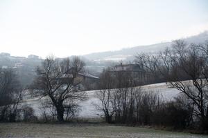 Photography - Cozy and Cold #10