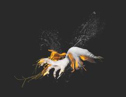 Body Collage - Still Life #12