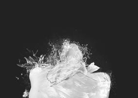 Body Collage - Still Life #2