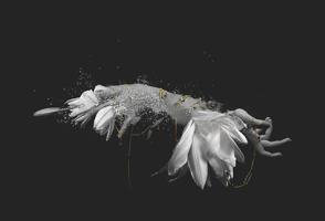 Body Collage - Still Life #9