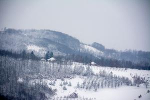 Photography - Cozy and Cold #15