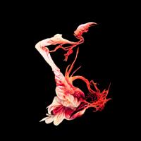 Software - Leap Sequence