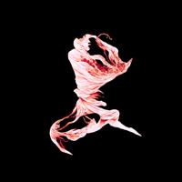 Software - Leap Sequence