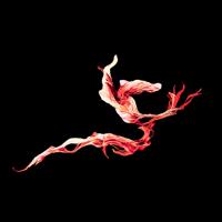 Software - Leap Sequence