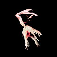Software - Leap Sequence