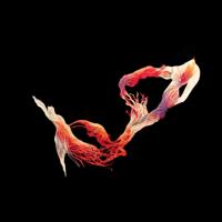 Software - Leap Sequence