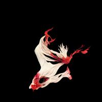 Software - Leap Sequence